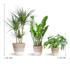 Schaduw Plantenbox - medium - met mand Lissabon wit