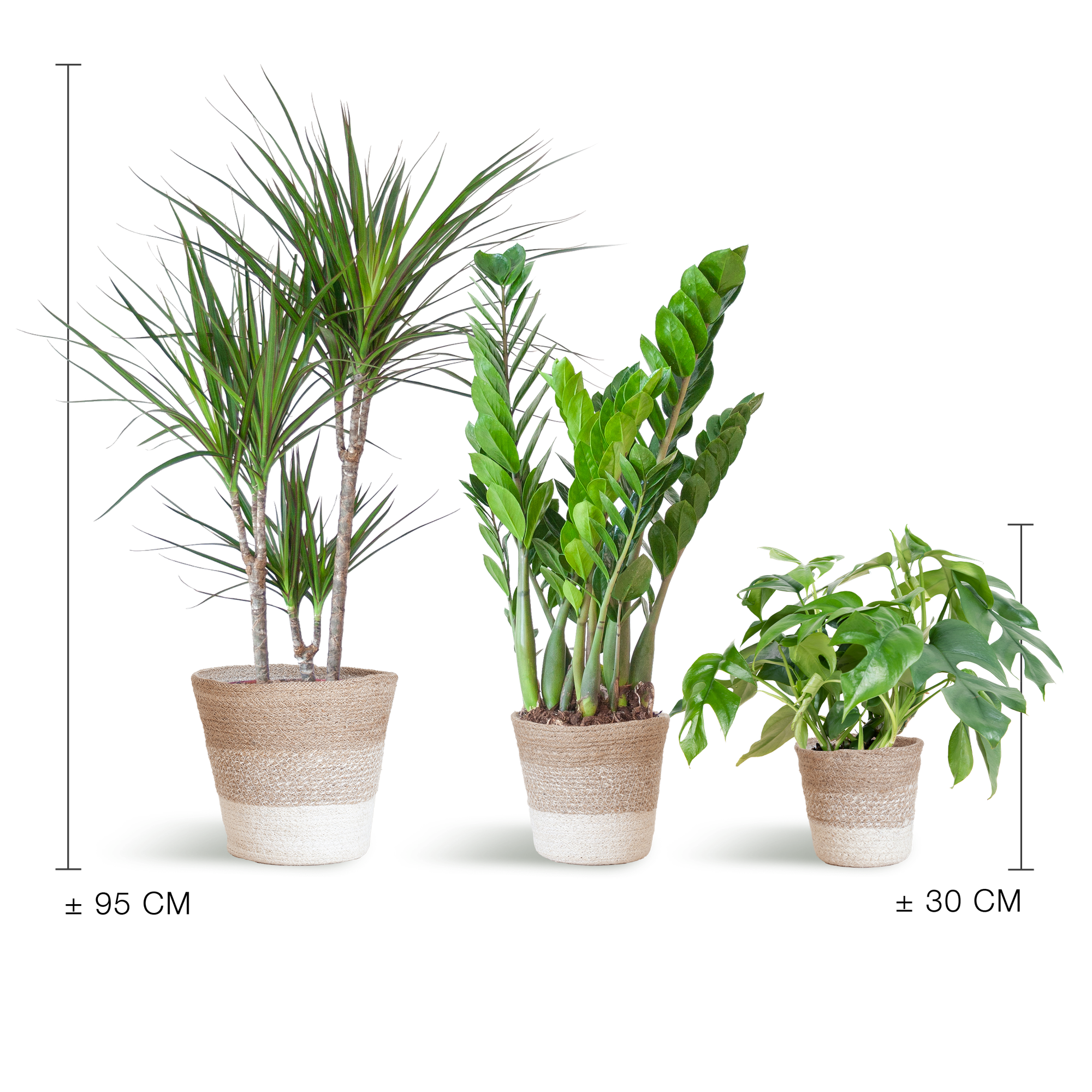 Schaduw Plantenbox - medium - met mand Lissabon wit