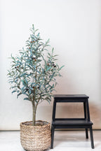 Kunst Olijfboom -  Olea europaea - Olijfboom - 115 cm