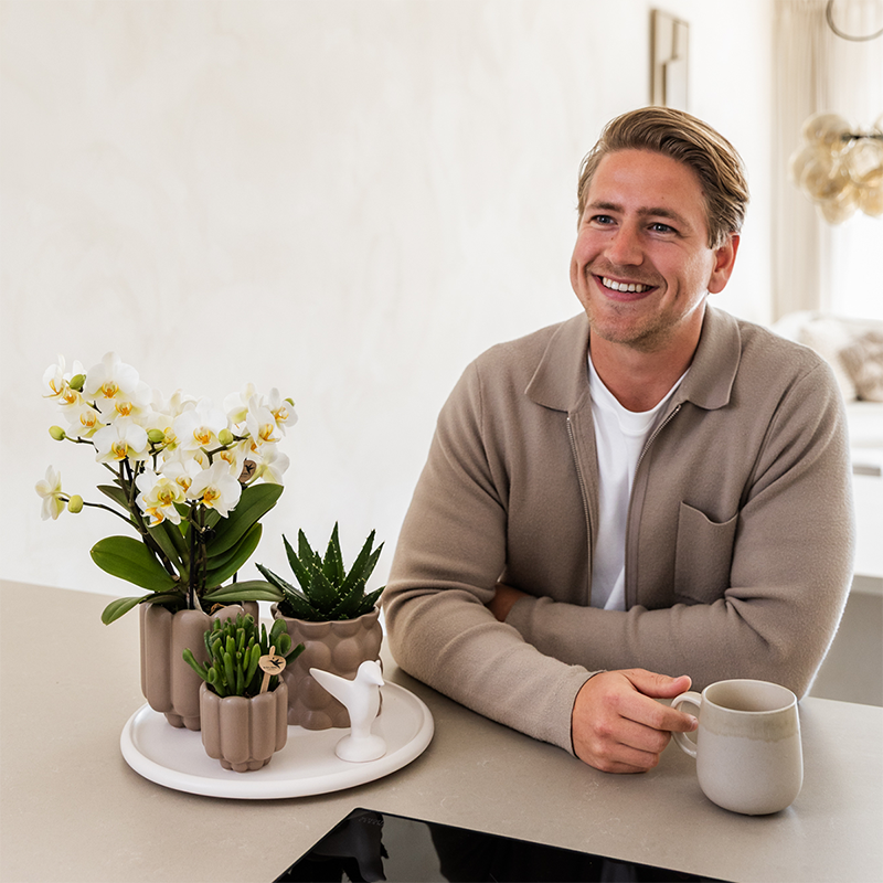 Orchidées Kolibri | Coffret cadeau Slow Living | Plantes vertes avec orchidée Phalaenopsis blanche Lausanne dans des pots décoratifs en céramique beige sur un plateau blanc