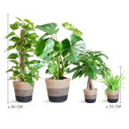 Easy care Plantenbox - medium - met Mand Lissabon zwart