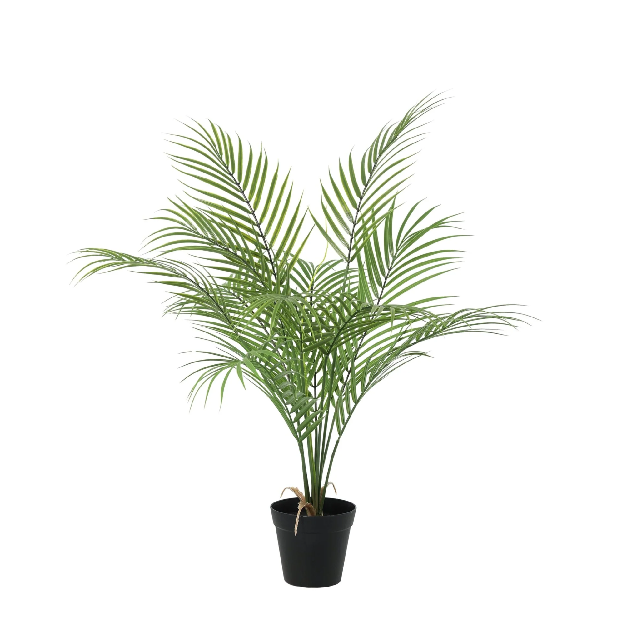 ARTIFICIAL Kentia palm - 65cm