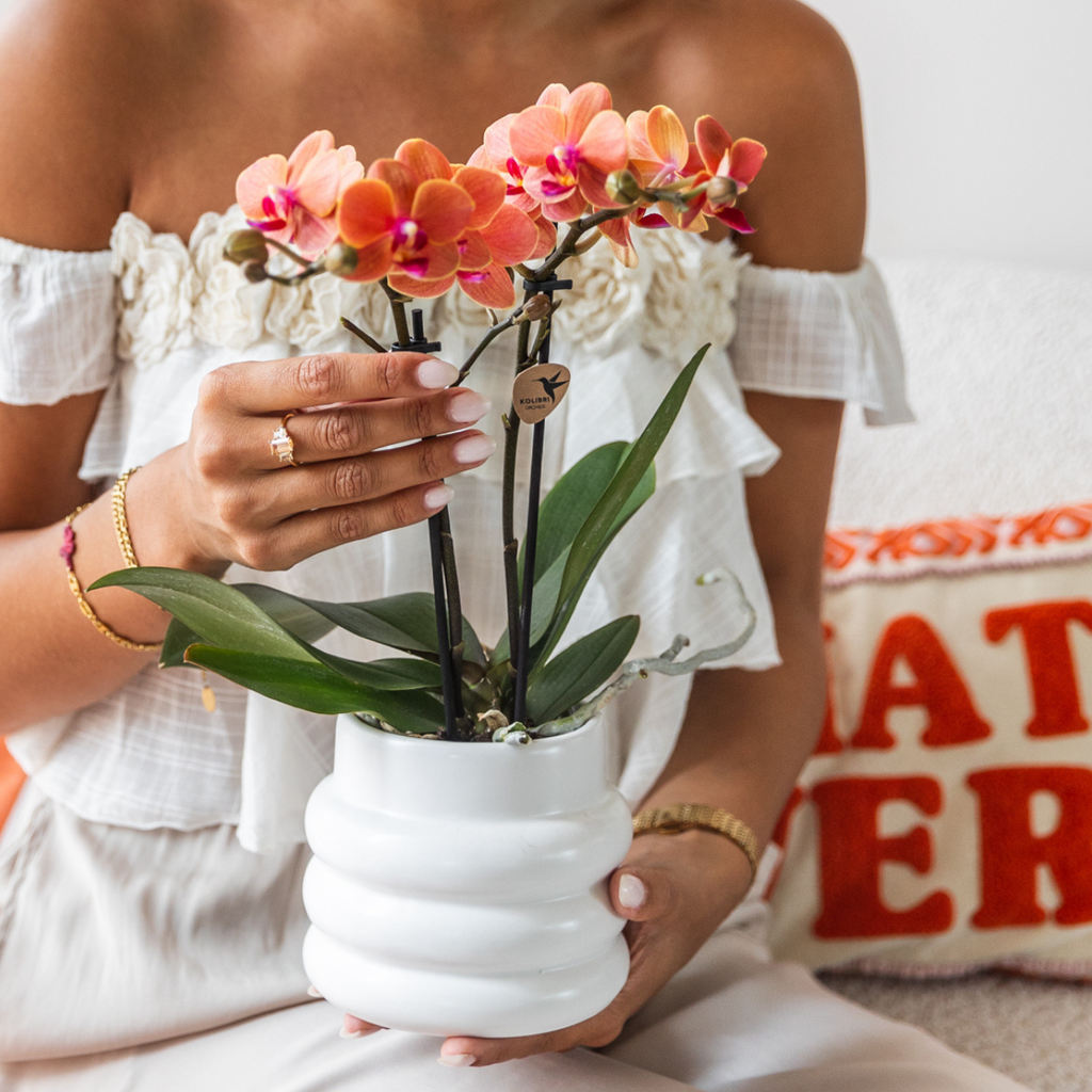 Kolibri Orchids | COMBI DEAL van 4 oranje Phalaenopsis orchideeën - Bolzano - potmaat Ø9cm | bloeiende kamerplant - vers van de kweker