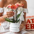 Kolibri Orchids | COMBI DEAL van 4 oranje Phalaenopsis orchideeën - Bolzano - potmaat Ø9cm | bloeiende kamerplant - vers van de kweker