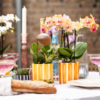 Orchidées Kolibri | Orchidée Phalaenopsis orange en pot de 9 cm de diamètre | Jamaïque | Plante d'intérieur fleurie - fraîchement cueillie