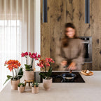 Kolibri Home | Rustic sierpot - Sand - Ø9cm