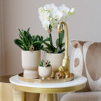 Kolibri Home | Decoratieschaal - Rond gouden dienblad Ø30cm