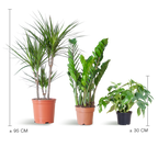 Schaduw Plantenbox - medium - zonder sierpot