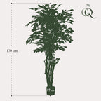 kunstplant - Ficus liana  - Vioolbladplant - 170cm