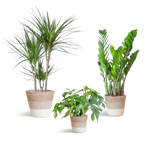 Schaduw Plantenbox - medium - met mand Lissabon wit