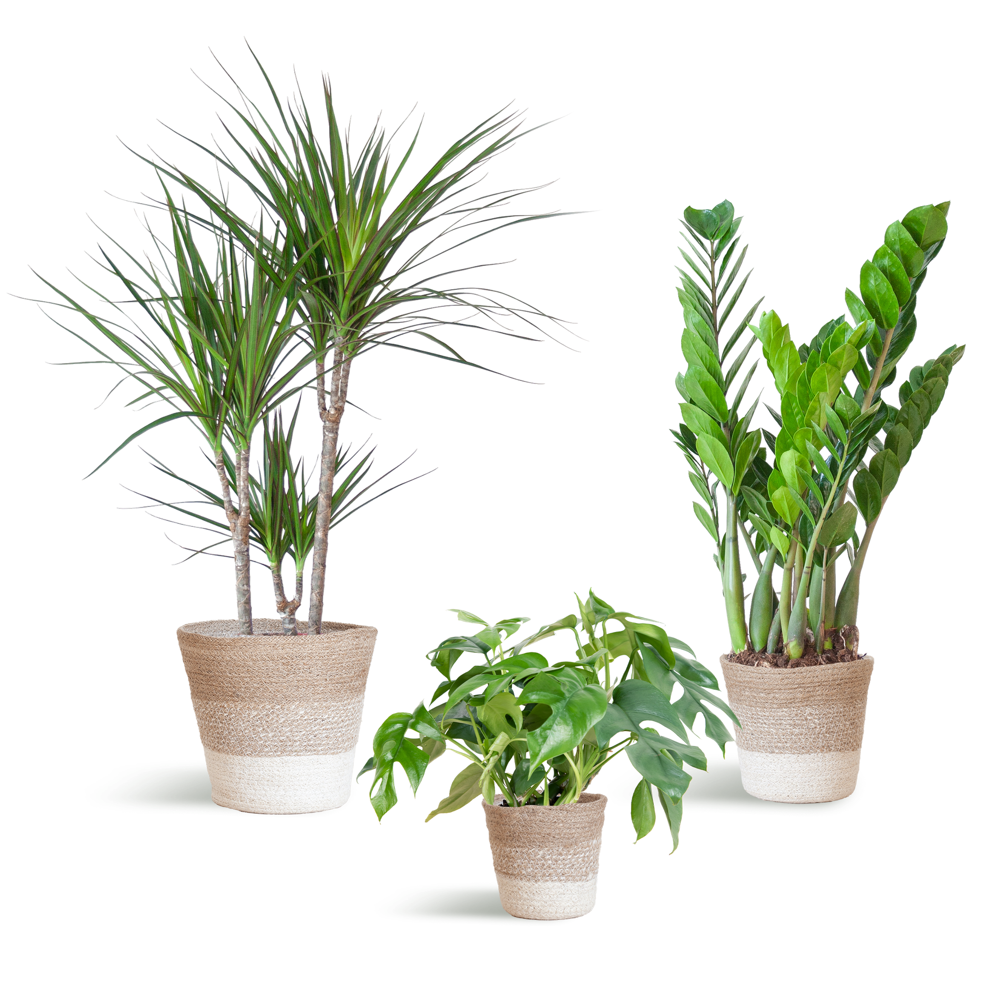 Schaduw Plantenbox - medium - met mand Lissabon wit