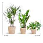 Schaduw Plantenbox - medium - met mand Sofia