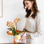 Orchidées Kolibri | Orchidée Phalaenopsis orange en pot de 9 cm de diamètre | Jamaïque | Plante d'intérieur fleurie - fraîchement cueillie