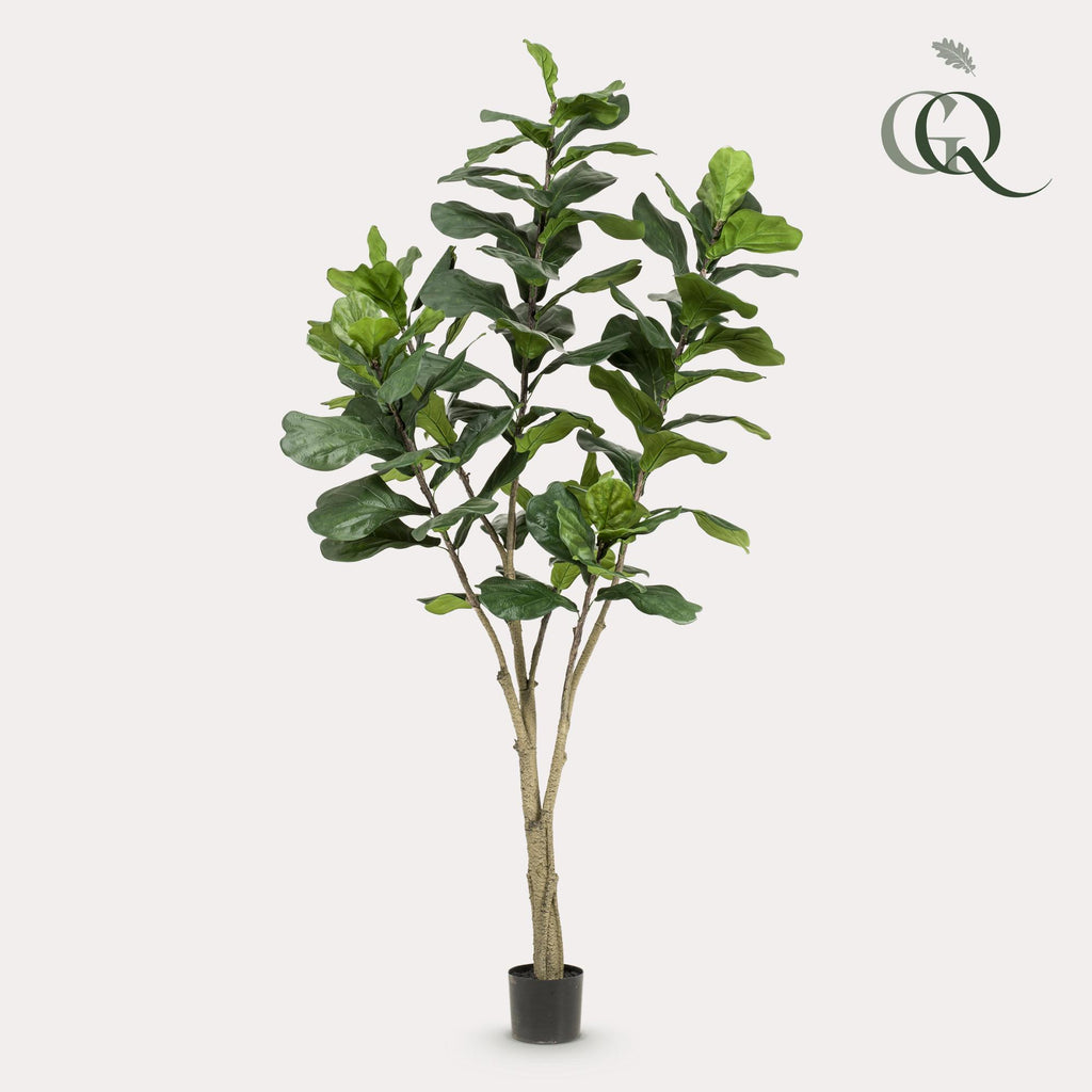 Kunstplant - Ficus Lyrata - Tabaksplant - 210cm