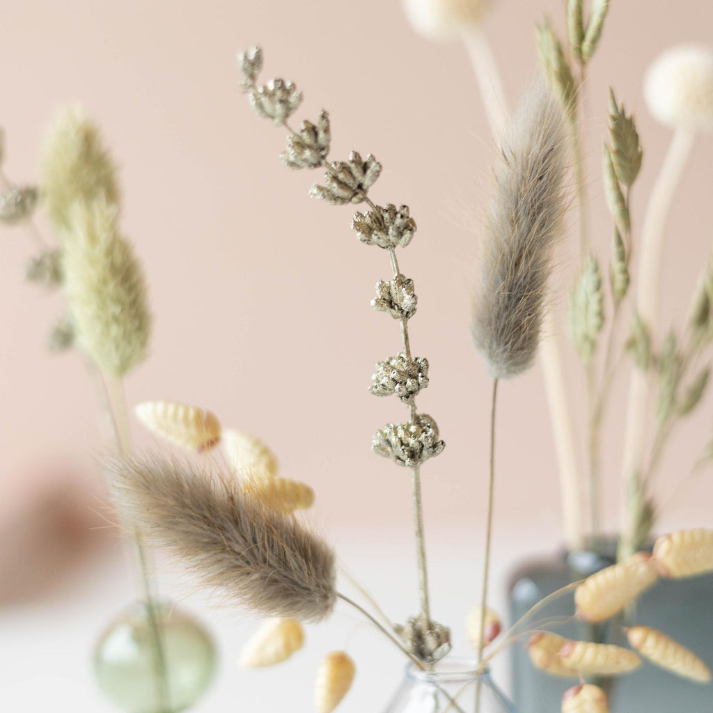 Dried Beauty - droogbloemen met vaasjes