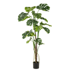 kunstplant - Monstera  - Gatenplant - 180cm