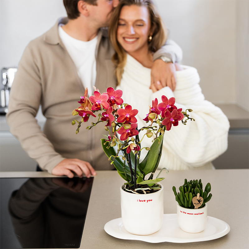 Kolibri Home | I love you sierpot - Ø6cm