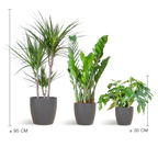 Schaduw Plantenbox - medium - met vibers pot grijs