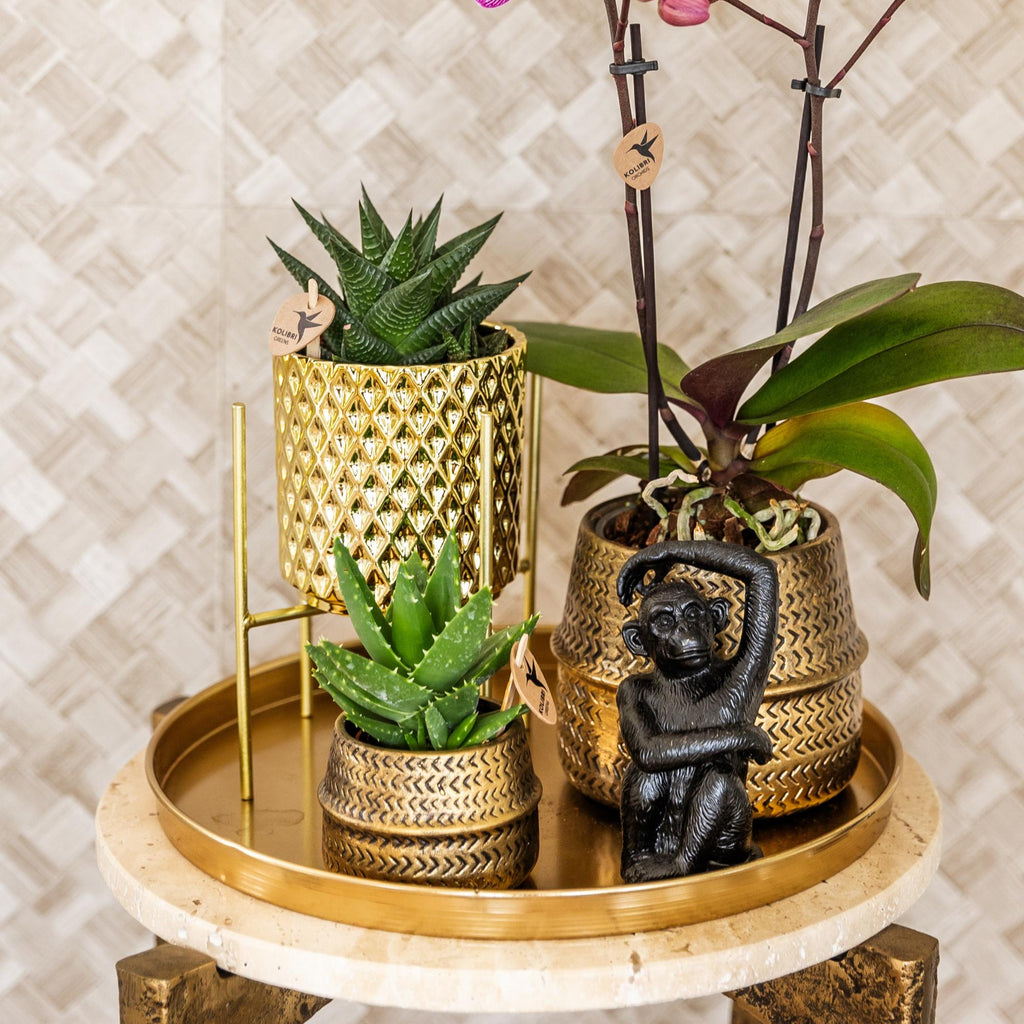 Kolibri Home | Decoratieschaal - Rond gouden dienblad Ø30cm