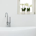 Kolibri Orchids | Witte Phalaenopsis orchidee potmaat - Jewel Ghent - potmaat Ø12cm | bloeiende kamerplant - vers van de kweker