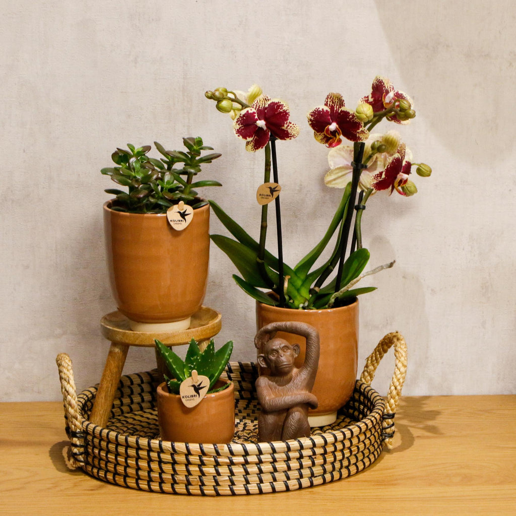 Kolibri Home | Decoratieschaal - Zwart gevlochten dienblad Ø30cm