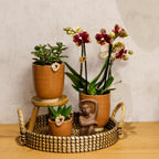 Kolibri Home | Decoratieschaal - Zwart gevlochten dienblad Ø30cm