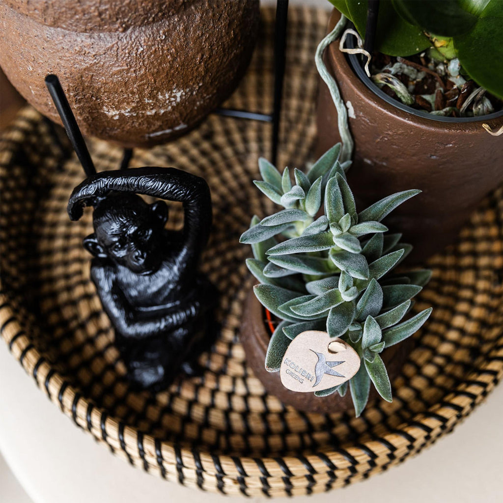 Kolibri Home | Ornament - Decoratie beeld Sitting Monkey - Black