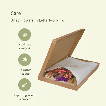 Dried flowers in Letterbox Pink - ↕30cm - Pink
