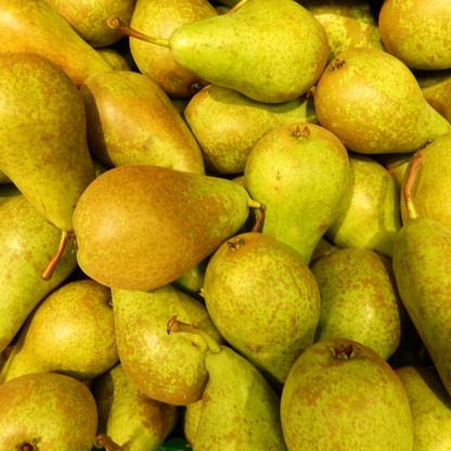 Bio-Birnbaum Pyrus - 1 x Ø 20 cm - ↨ 60 cm 