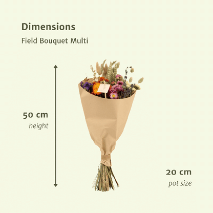 Trockenblumen-Feldstrauß Multi - Ø25cm - ↕60cm - Ø20 - ↨50cm