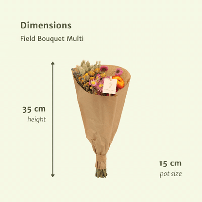 Trockenblumen-Feldstrauß Multi - Ø25cm - ↕60cm - Ø15 - ↨35cm