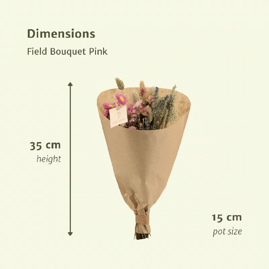 Trockenblumen Feldstrauß Rosa - Ø25cm - ↕60cm - Ø15 - ↨35cm