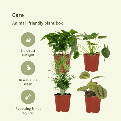 Tierfreundliche Pflanzkiste - 4 Stück - Ø12cm - ↕20-40cm