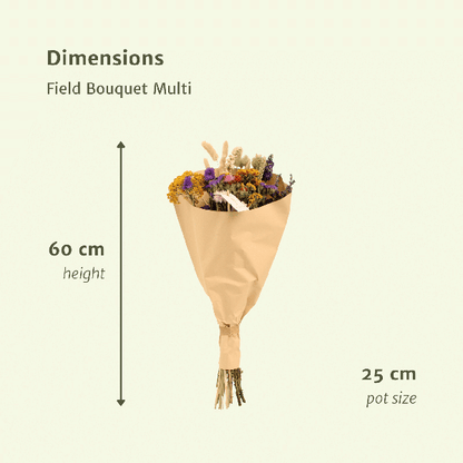 Trockenblumen-Feldstrauß Multi - Ø25cm - ↕60cm - Ø25 - ↨60cm
