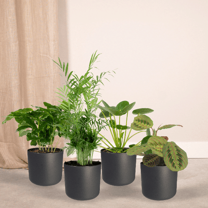 Tierfreundliche Pflanzkiste - 4 Stück - Ø12cm - ↕20-40cm