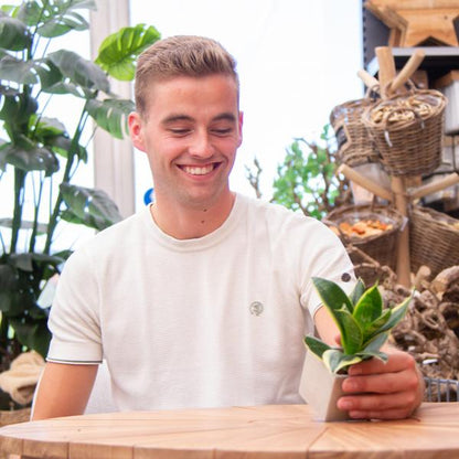 Congreetz® Pflanztöpfe + Sansevieria | Bester Vater aller Zeiten 