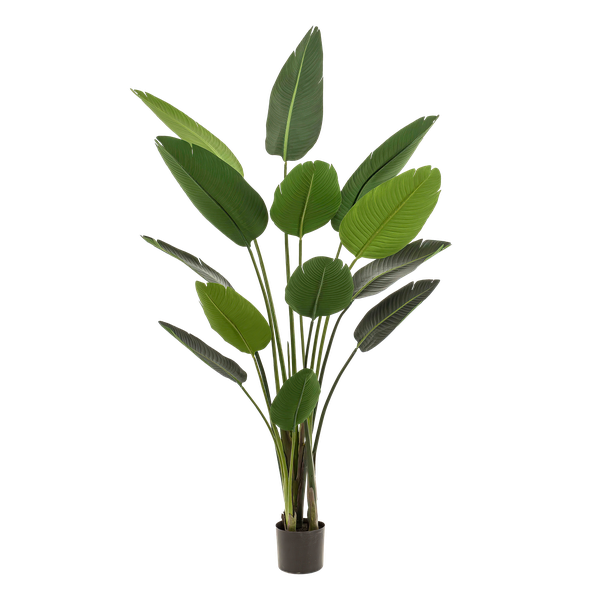 Künstliche Pflanze - Strelitzia Nicolai - Paradiesvogelblume - 190 cm