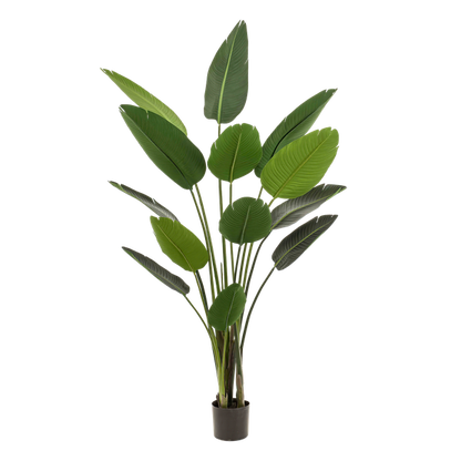 Künstliche Pflanze - Strelitzia Nicolai - Paradiesvogelblume - 190 cm