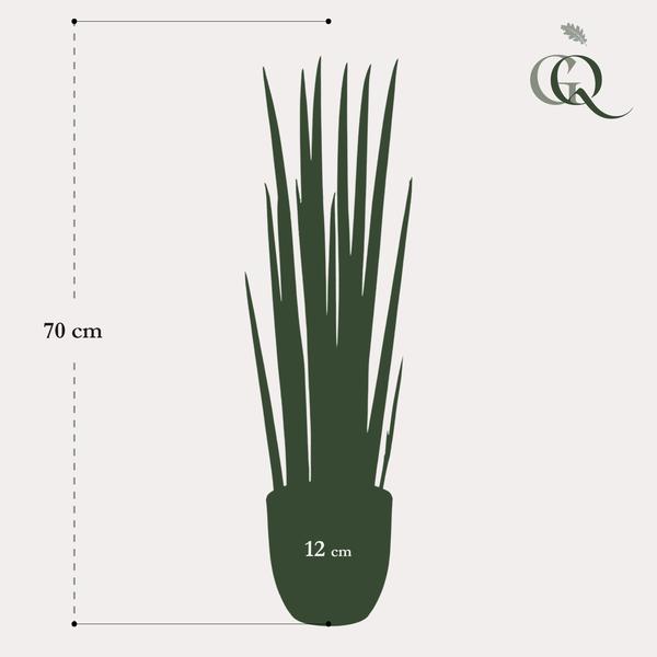 Artificial plant - Sanseveria Cylindrica - Mother-in-law's tongue - 70 cm