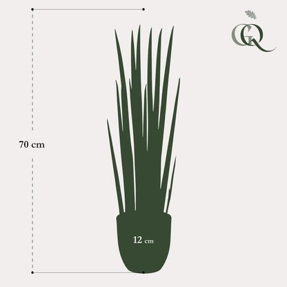 Artificial plant - Sanseveria Cylindrica - Mother-in-law's tongue - 70 cm