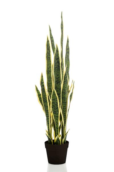 Künstliche Pflanze - Sanseveria Trifasciata - Frauenzunge - 97 cm