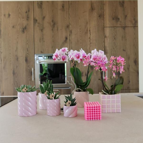 Kolibri-Startseite | Candy Dekotopf | Hoch – Rosa – Ø9cm